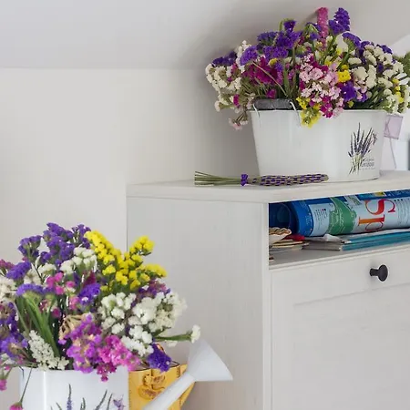 Sv Petar Stari U Centru Splita * Split